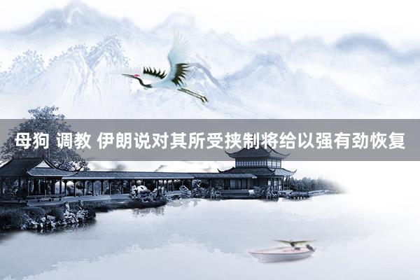 母狗 调教 伊朗说对其所受挟制将给以强有劲恢复
