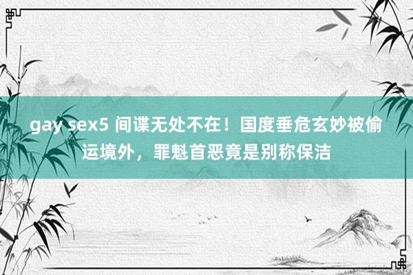 gay sex5 间谍无处不在！国度垂危玄妙被偷运境外，罪魁首恶竟是别称保洁
