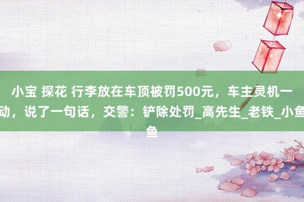 小宝 探花 行李放在车顶被罚500元，车主灵机一动，说了一句话，交警：铲除处罚_高先生_老铁_小鱼