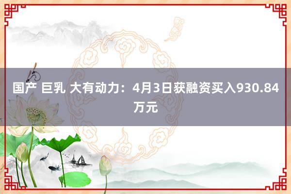 国产 巨乳 大有动力：4月3日获融资买入930.84万元
