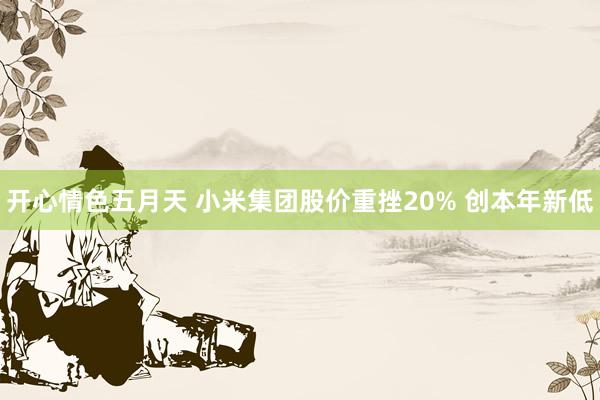 开心情色五月天 小米集团股价重挫20% 创本年新低