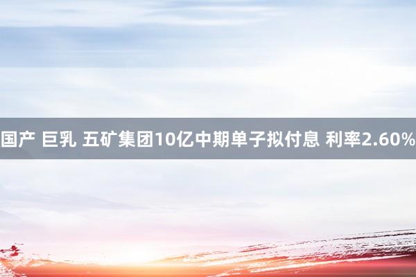 国产 巨乳 五矿集团10亿中期单子拟付息 利率2.60%