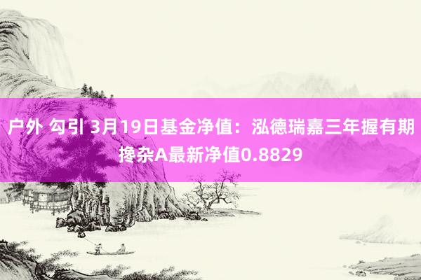 户外 勾引 3月19日基金净值：泓德瑞嘉三年握有期搀杂A最新净值0.8829