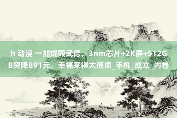 h 动漫 一加烧毁武德，3nm芯片+2K屏+512GB突降891元，幸福来得太俄顷_手机_成立_内卷