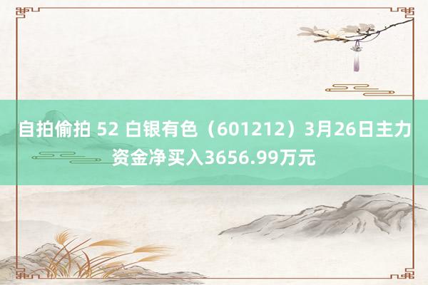 自拍偷拍 52 白银有色（601212）3月26日主力资金净买入3656.99万元