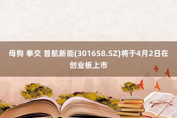 母狗 拳交 首航新能(301658.SZ)将于4月2日在创业板上市