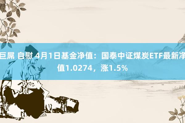 巨屌 自慰 4月1日基金净值：国泰中证煤炭ETF最新净值1.0274，涨1.5%