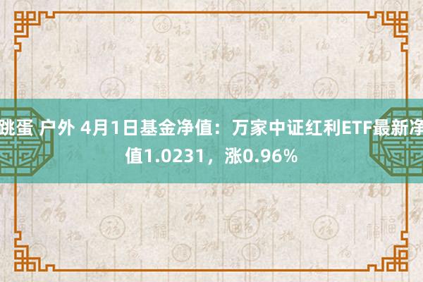 跳蛋 户外 4月1日基金净值：万家中证红利ETF最新净值1.0231，涨0.96%