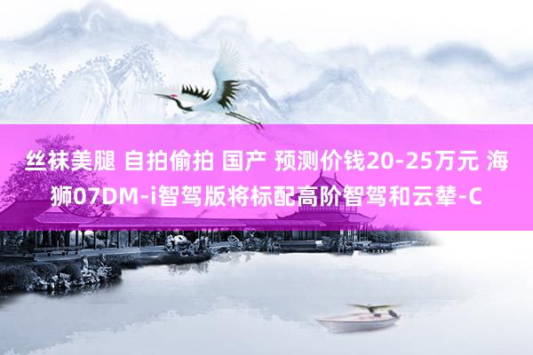 丝袜美腿 自拍偷拍 国产 预测价钱20-25万元 海狮07DM-i智驾版将标配高阶智驾和云辇-C