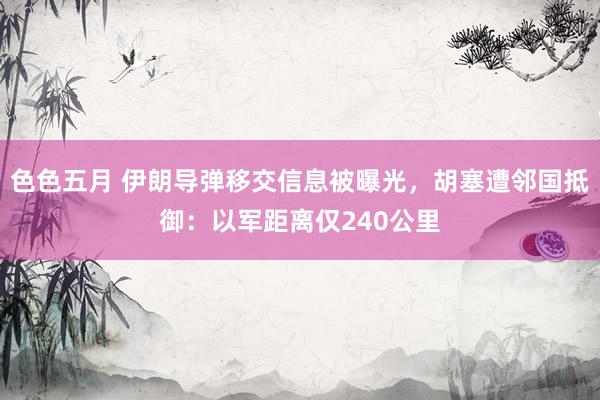 色色五月 伊朗导弹移交信息被曝光，胡塞遭邻国抵御：以军距离仅240公里