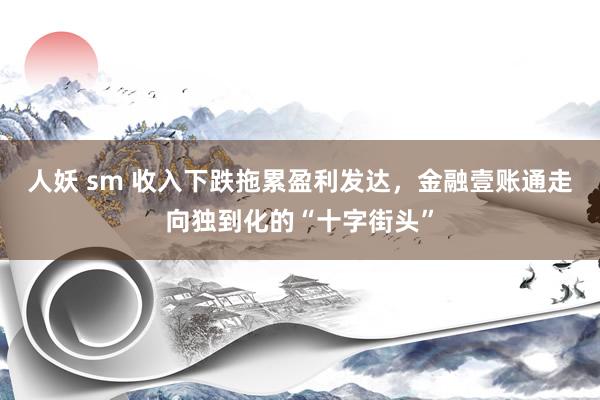 人妖 sm 收入下跌拖累盈利发达，金融壹账通走向独到化的“十字街头”