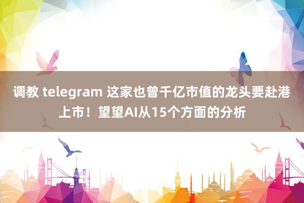 调教 telegram 这家也曾千亿市值的龙头要赴港上市！望望AI从15个方面的分析