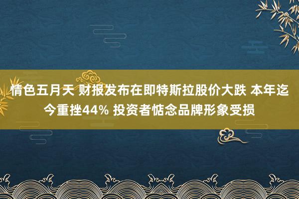 情色五月天 财报发布在即特斯拉股价大跌 本年迄今重挫44% 投资者惦念品牌形象受损