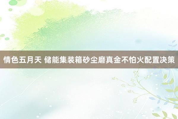 情色五月天 储能集装箱砂尘磨真金不怕火配置决策