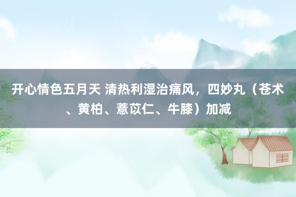 开心情色五月天 清热利湿治痛风，四妙丸（苍术、黄柏、薏苡仁、牛膝）加减
