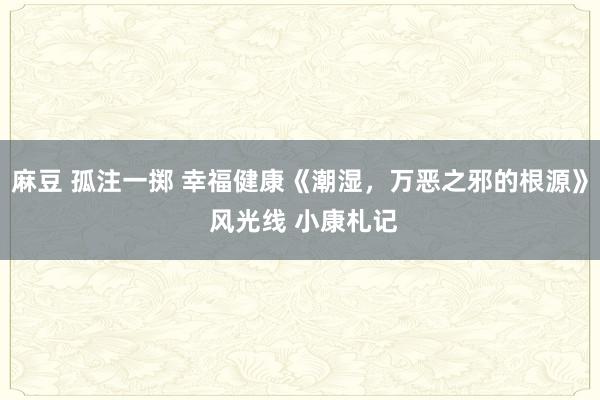 麻豆 孤注一掷 幸福健康《潮湿，万恶之邪的根源》 风光线 小康札记