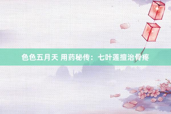色色五月天 用药秘传：七叶莲擅治骨疼