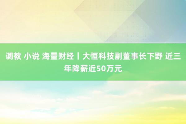 调教 小说 海量财经丨大恒科技副董事长下野 近三年降薪近50万元