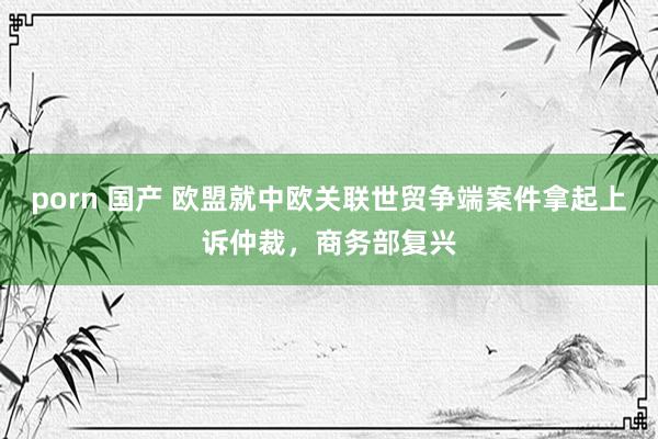 porn 国产 欧盟就中欧关联世贸争端案件拿起上诉仲裁，商务部复兴